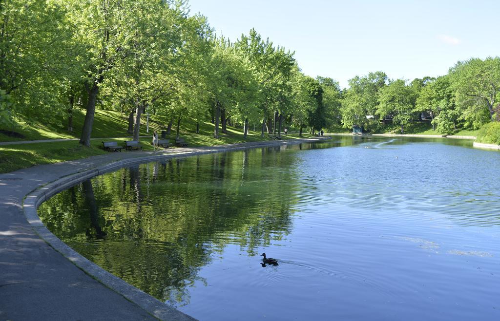 Auberge De La Fontaine Montreal Bagian luar foto